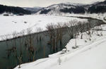 2011-4-4.jpg