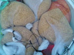 2011-4-5-2.jpg