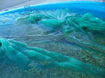 2011-4-6.jpg