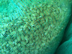 2011-4-18.jpg