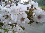 2011-5-20-1.jpg