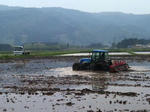 2011-5-20.jpg