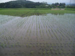 2011-6-5.jpg
