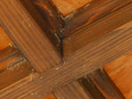 2011-6-17-6.jpg