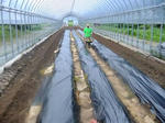 DSCF2581.JPG