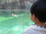 2011-7-17-1.JPG