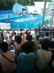 2011-7-17-2.jpg