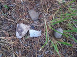 2011-8-7-1.jpg