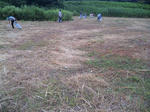 2011-8-7-2.jpg