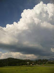 2011-8-9.jpg