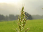 2011-8-29-1.jpg