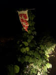 2011-9-10-1.jpg