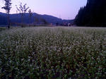 2011-9-14-1.jpg