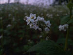 2011-9-14-2.jpg