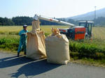 2011-10-9-2.jpg
