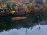 3c954b53.jpg