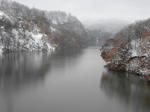 2011-11-23.jpg