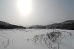 2012-1-9-2.jpg