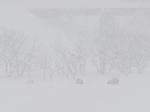2012-1-14.jpg