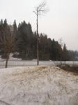 2012-5-4-1.jpg