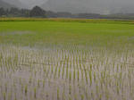 2012-6-9.JPG