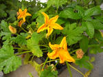 2012-6-23-1.JPG