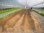 2012-6-23-2.JPG