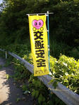2012-8-9-2.JPG