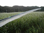 2012-9-16-3jpg.jpg