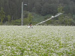 2012-9-16-4.jpg