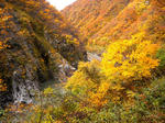 2012-11-10-1.jpg