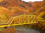 2012-11-10-2.jpg