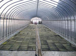 2013-4-25-1.JPG