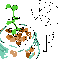 ぴょ子さん