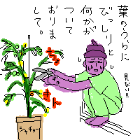 それはもうびっしりと