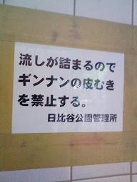 ぎんなんおいしいよね