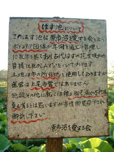 はす池について.jpg