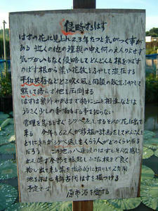 侵略するはす.jpg