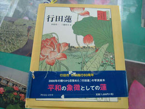 行田の蓮.jpg