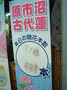 いりぐちだよ
