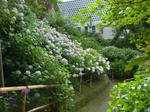 11.06.26-01.JPG