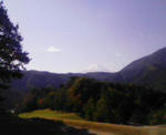200711141021000.jpg