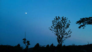 b013.jpg