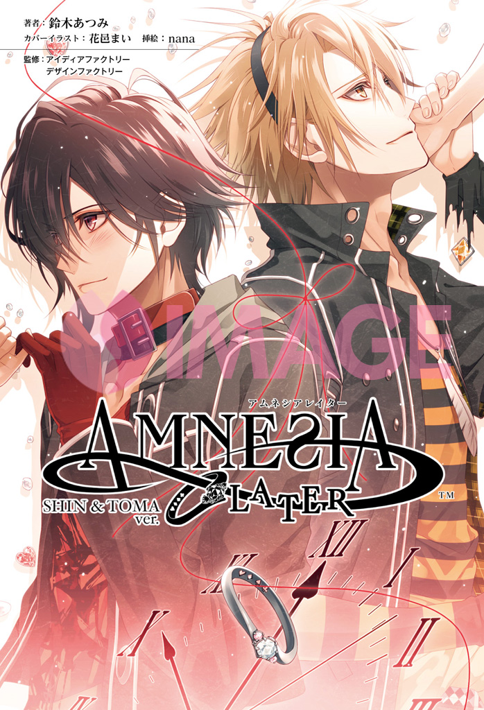 小説 アムネシア レイター