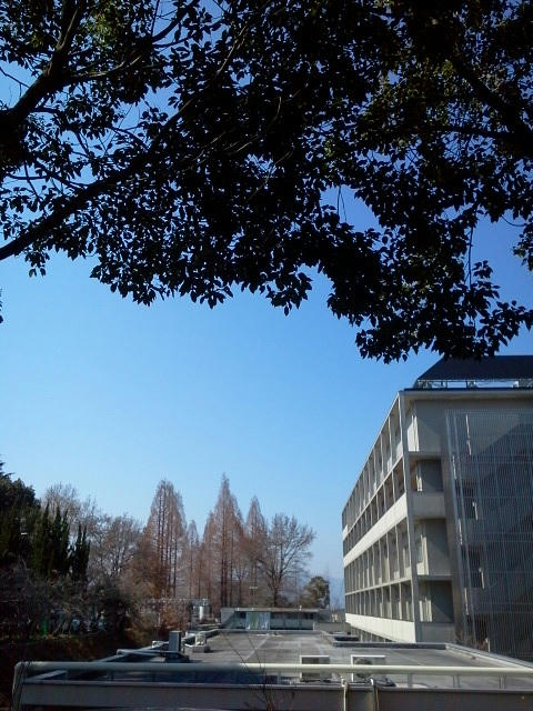 110222_114324.jpg