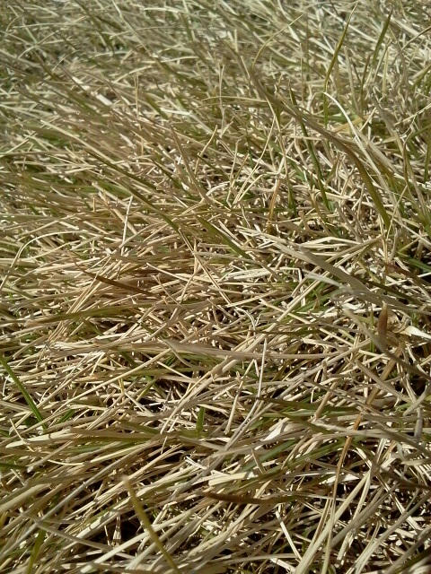 110304_114412.jpg