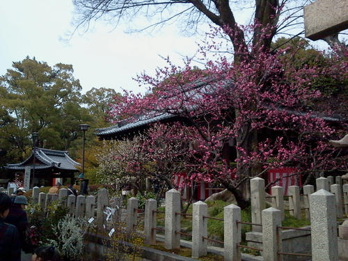 110312_123549.jpg