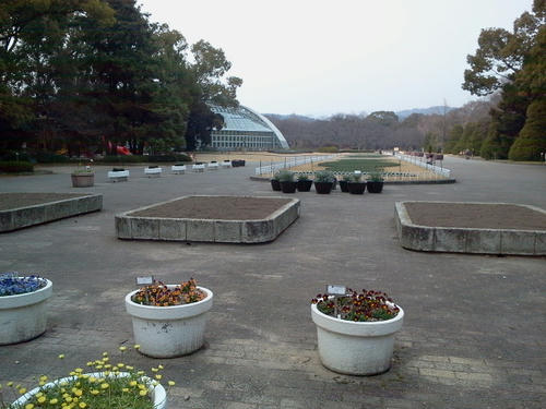 110315_162238.jpg