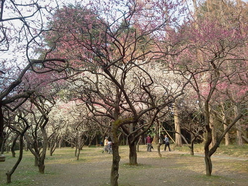 110315_145951.jpg