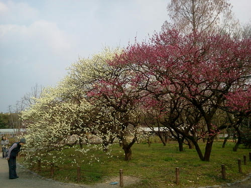 110315_150259.jpg